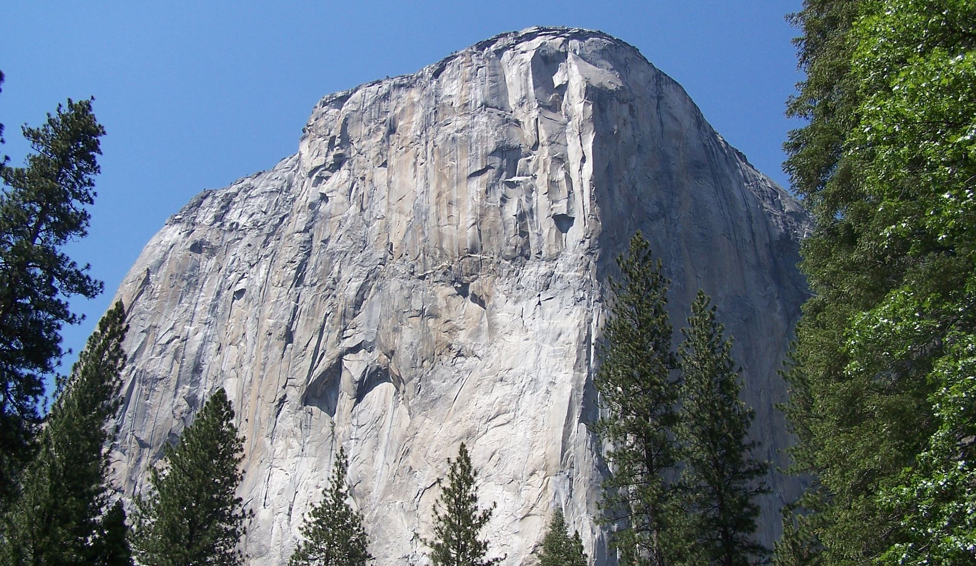 Father of Four Keeps Taking His Young Sons Up Yosemite's El Capitan at Age Eight; Many Say It's for Fame