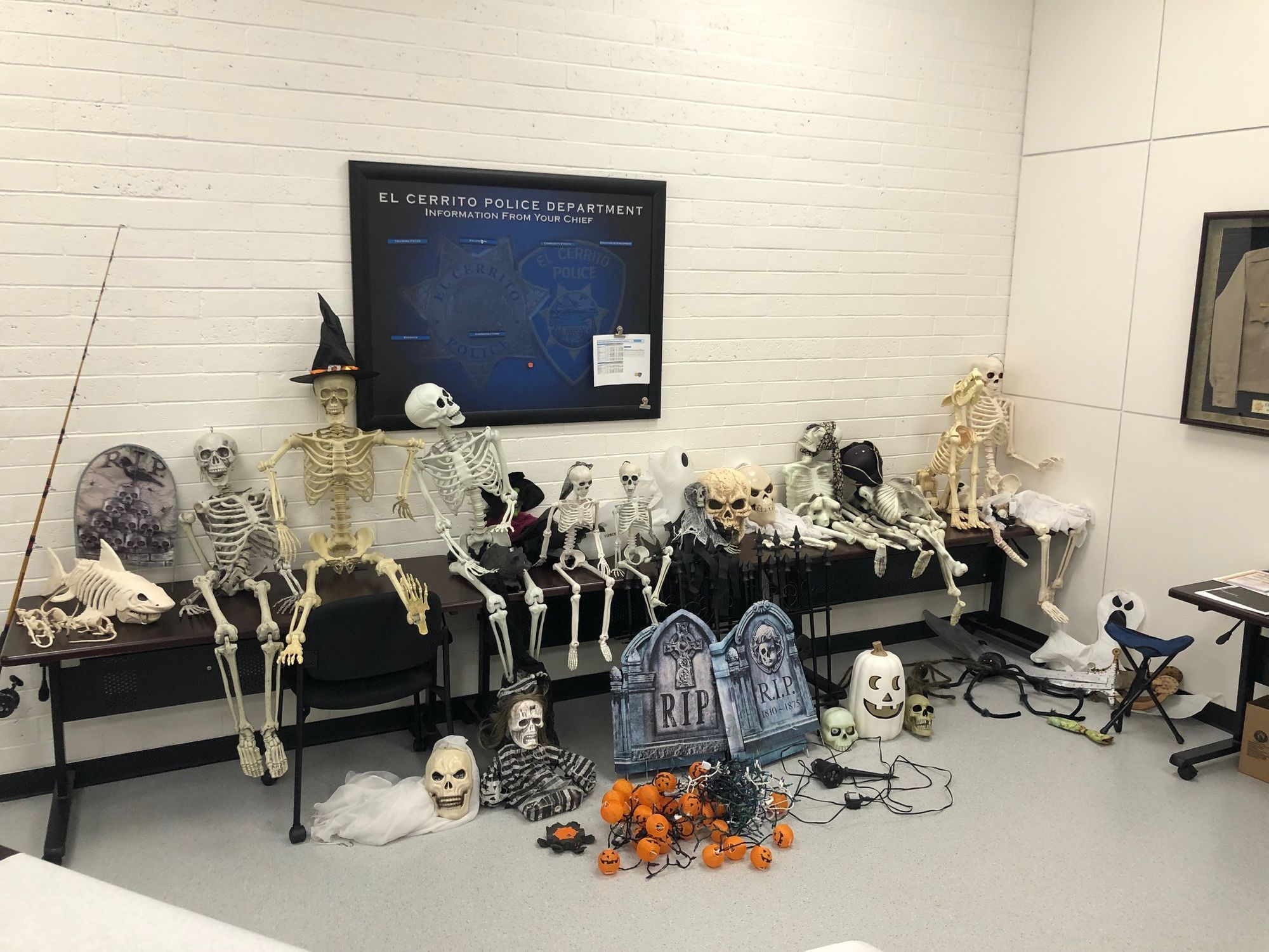 Day Around the Bay: Four Nabbed for Stealing Halloween Decorations in El Cerrito