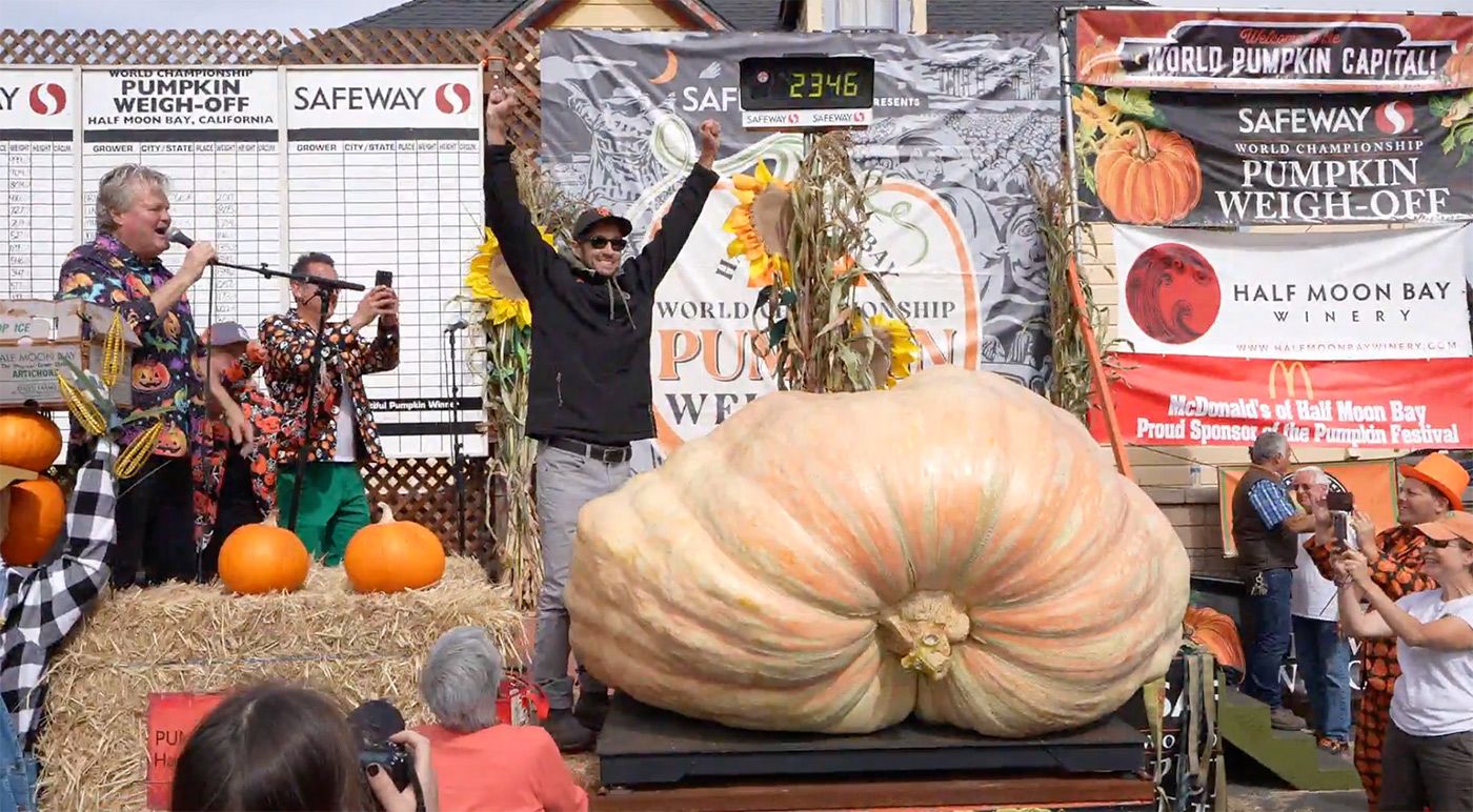 Ginormous Gourds Compete In Half Moon Bay for Annual Pumpkin Weigh-Off; Winner Is From Santa Rosa