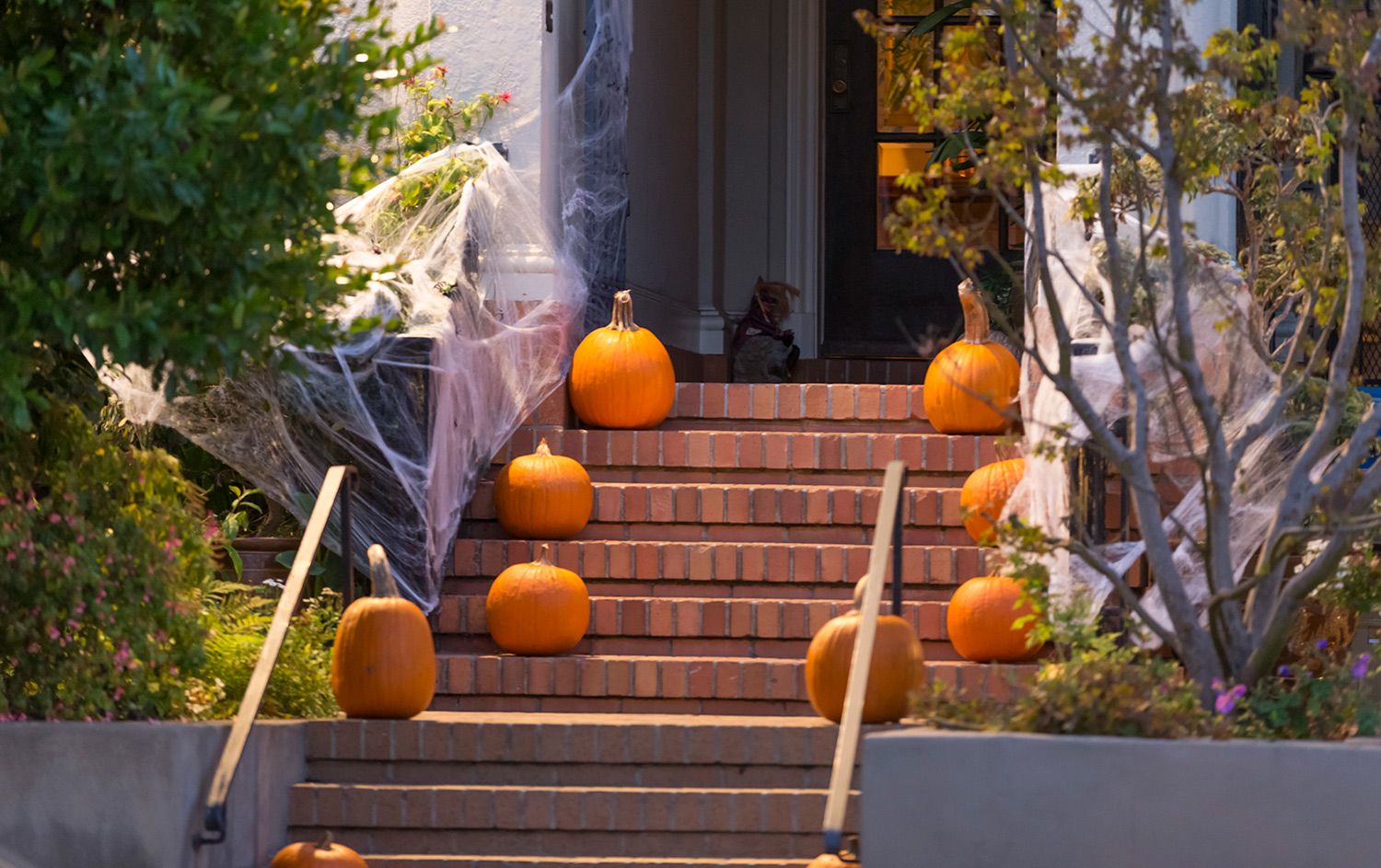 Day Around the Bay: Possibly Dangerous Inmate Released By Mistake In Contra Costa County