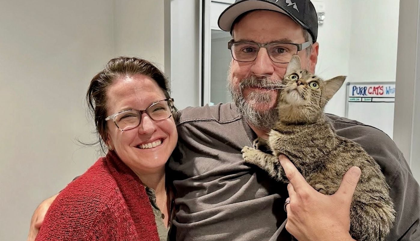 Missing Cat Escapes House in Boise, Idaho, Ends Up 600 Miles Away in San Francisco