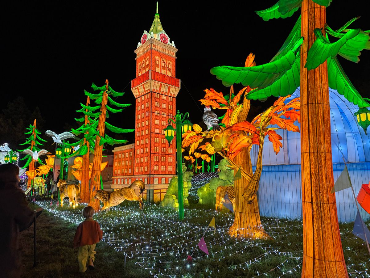 Oakland Zoo's Glowfari Is More Expensive This Year, Thanks to Trump's Tariffs