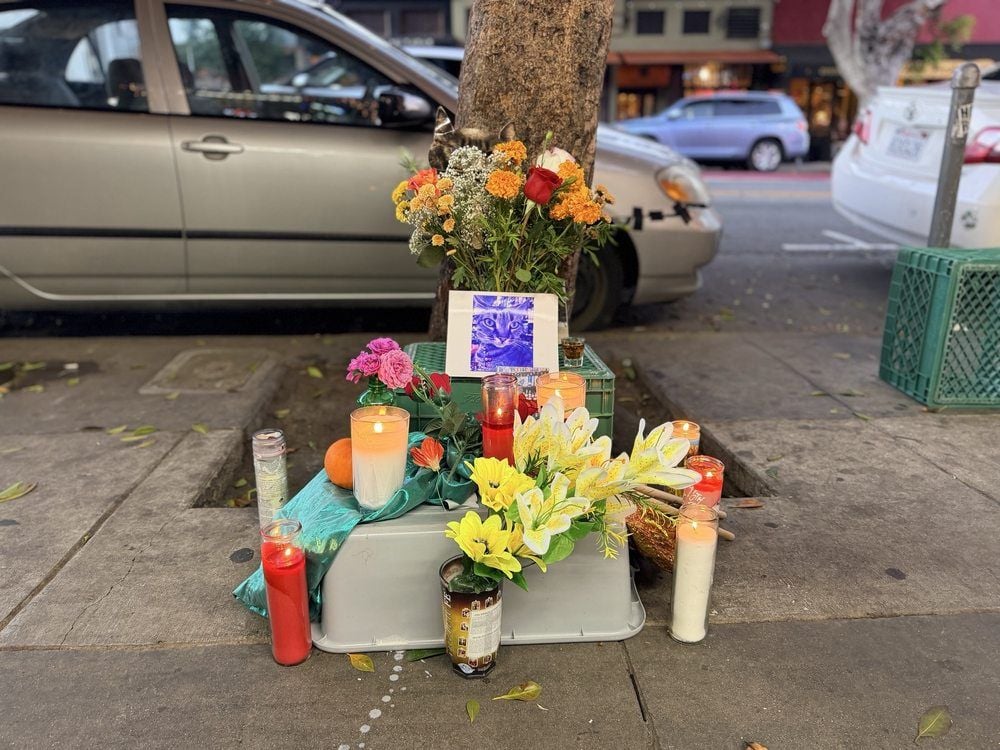 SF Supervisor Holding Rally for Cat Slain by Waymo, Promises Autonomous Car Legislation