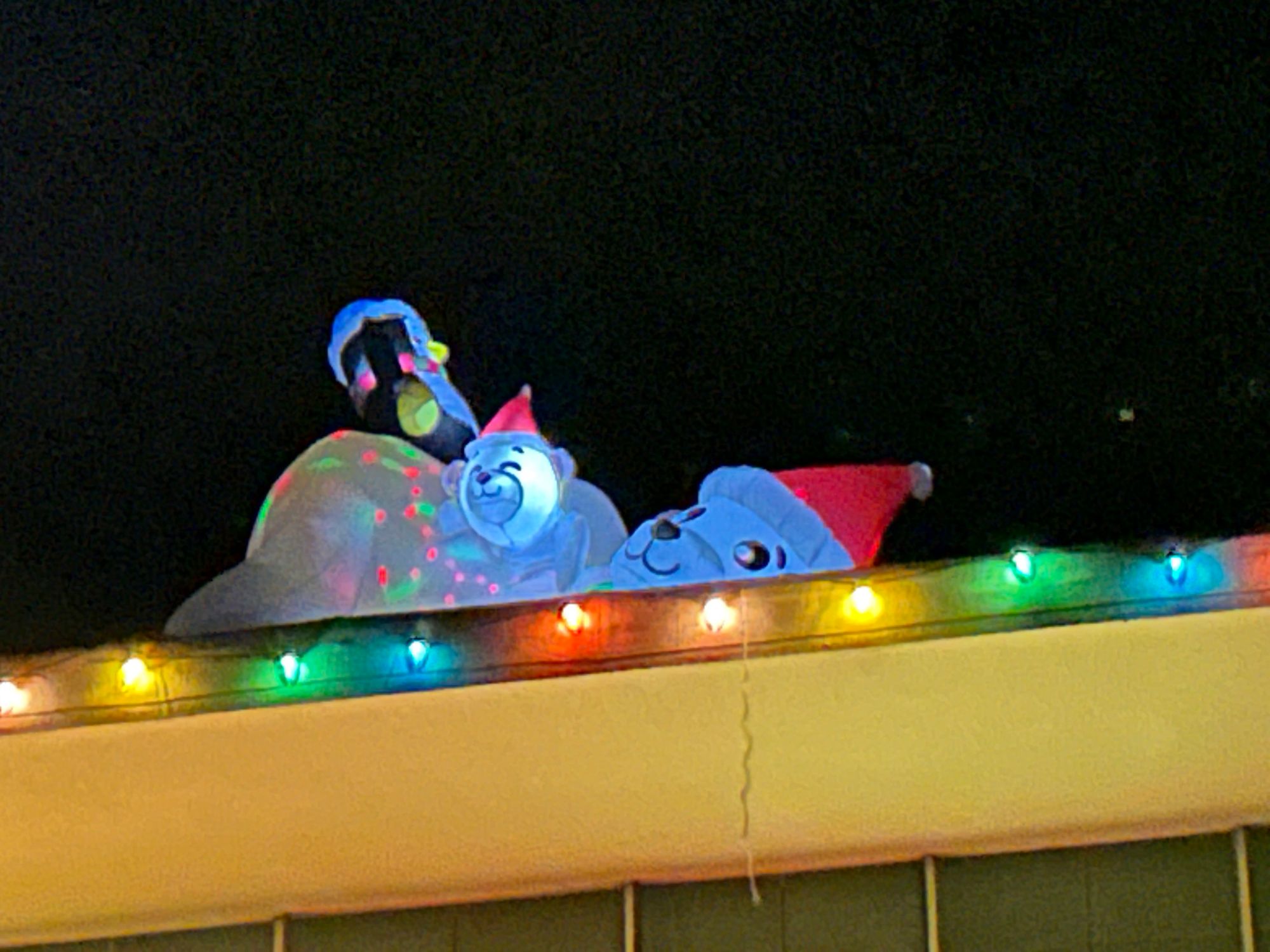 SF Fire Department Holiday Decorations Contest is Saturday, So Let’s Meet the Contestants