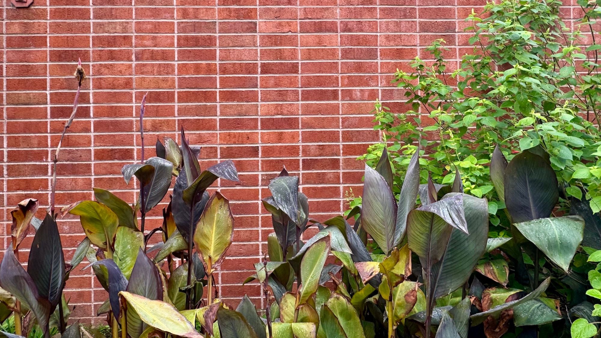 Saturday Links: Shark Smacks Surfer in Marin County, Leaves Imprint on Surfboard