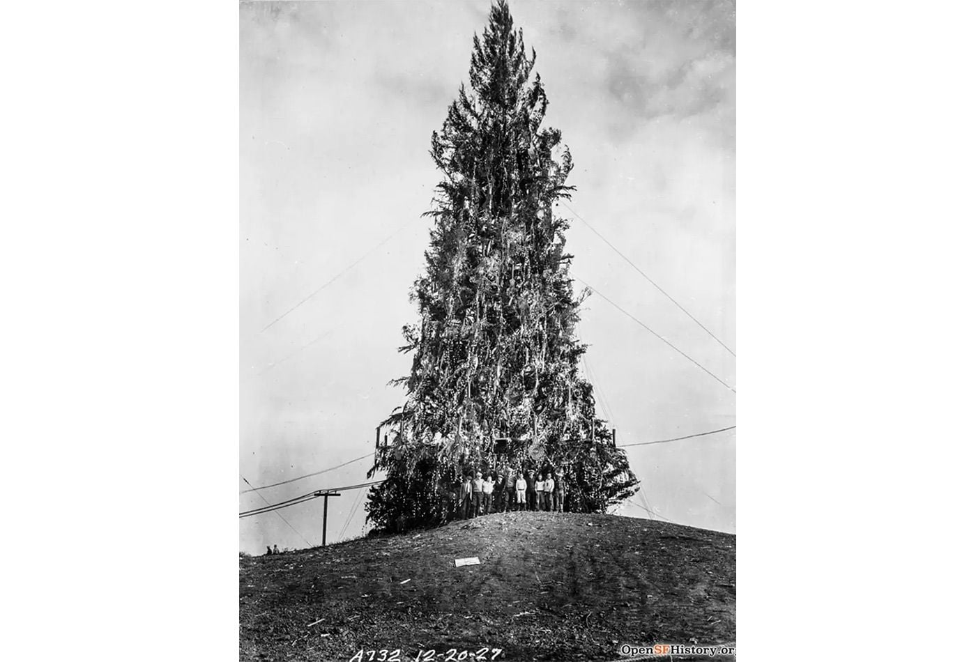 Here's Why SF's Christmas Tree Point Never Has a Christmas Tree