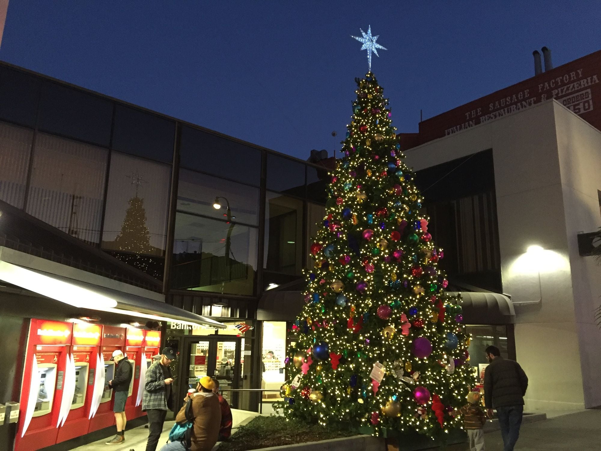 Castro Christmas Tree Gets Lit Tonight, and Alameda's Famed Christmas Tree Lane Show Begins Tonight Too