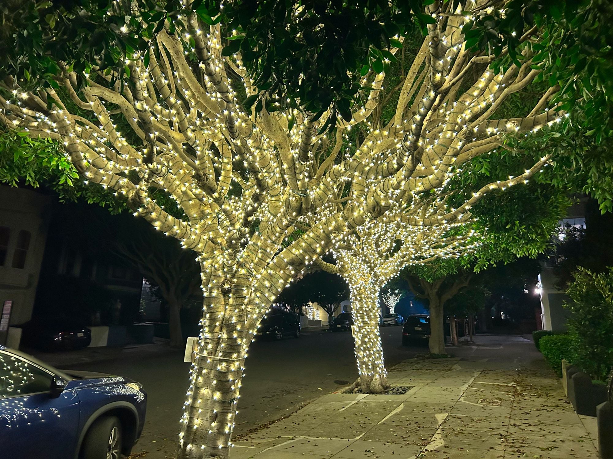 Day Around the Bay: Woman Gives Birth to Baby While Riding Inside Waymo