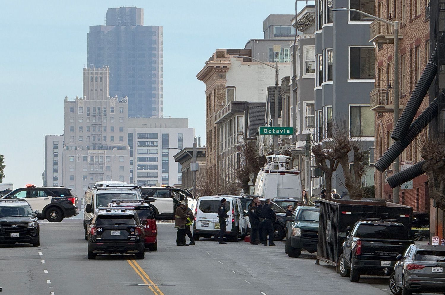 [Update] SF Animal Control Locates Mountain Lion In Pac Heights, Takes It to Be Released Outside the City