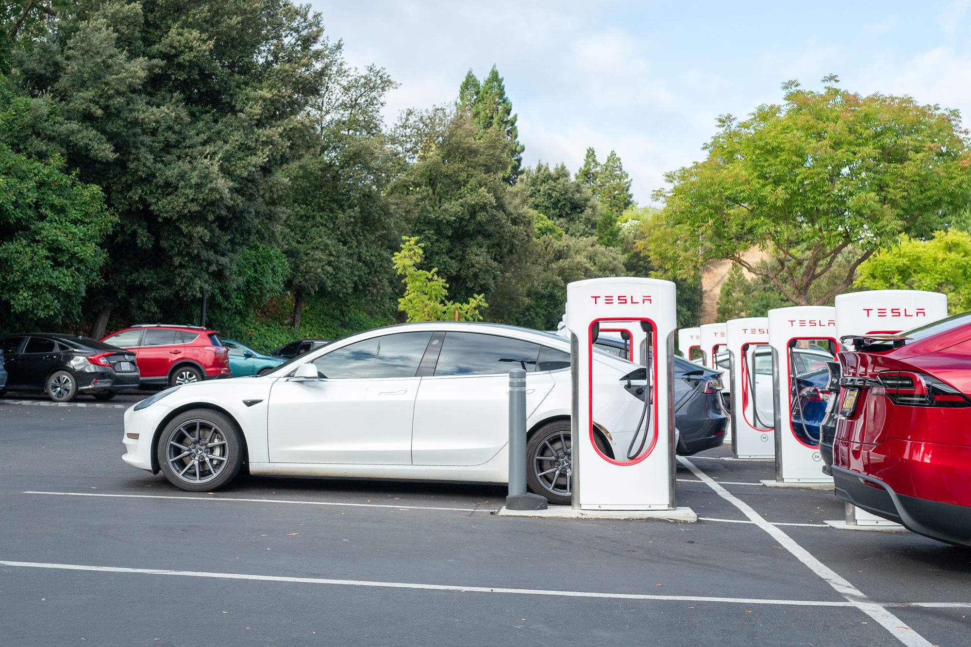 Who'da Thought? Tesla Owners Acting Like Real Jerks at Cow Hollow 24-Hour Charging Station