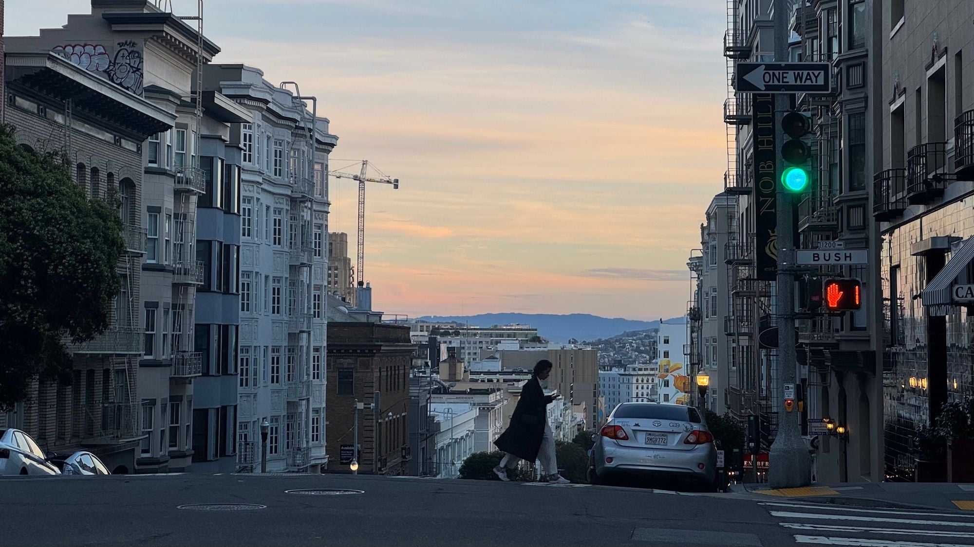 Day Around the Bay: Randa's Market Adopts Third Cat, Shadow,' Following the Death of KitKat