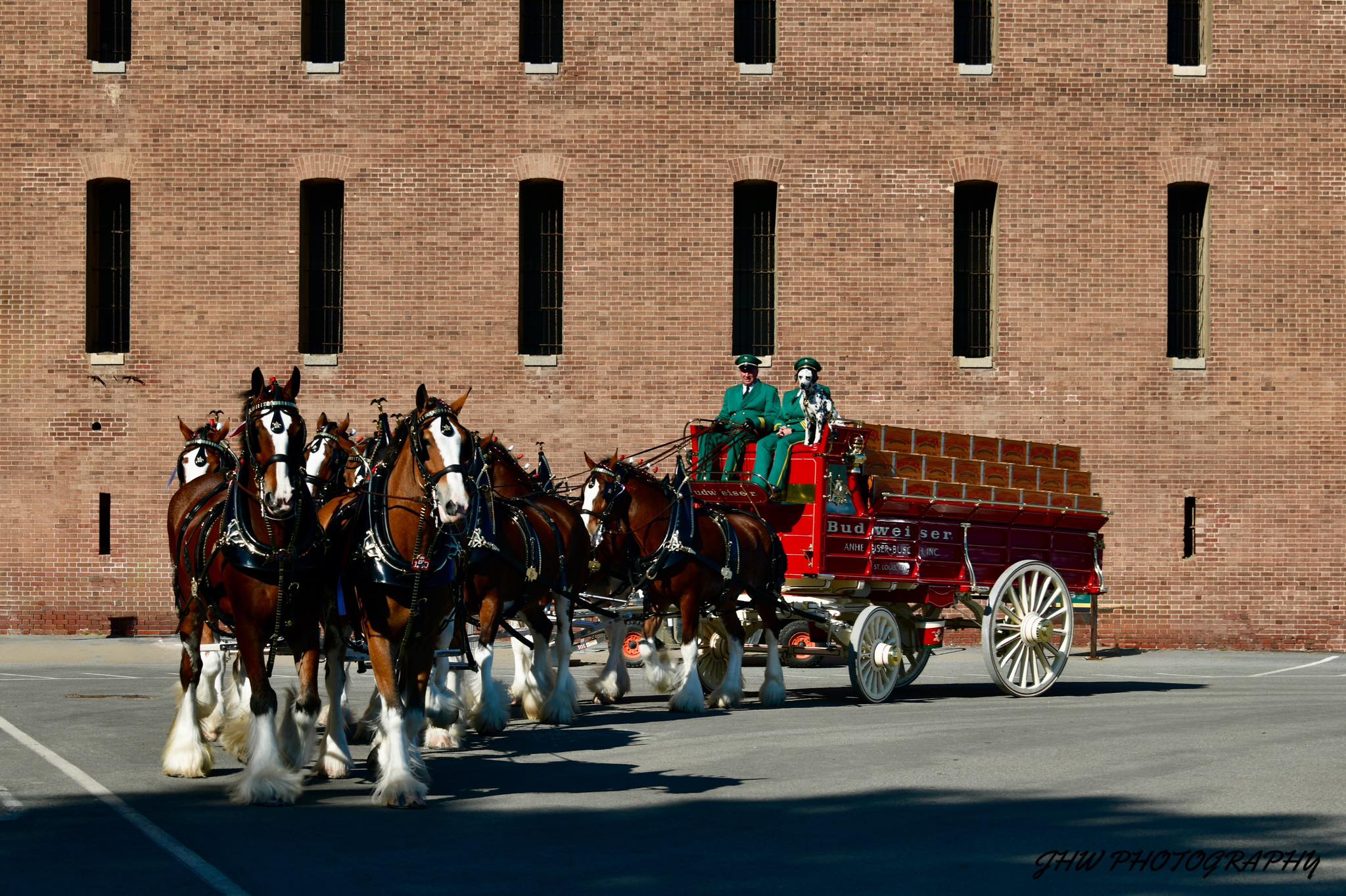 The Budweiser Clydesdales Have Set Hoof in SF for the Super Bowl, They'll Be at Fort Mason Thursday