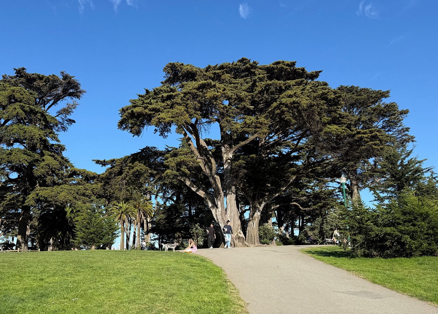 Day Around the Bay: Woman Injured In SF Hit-and-Run Involving E-Scooter