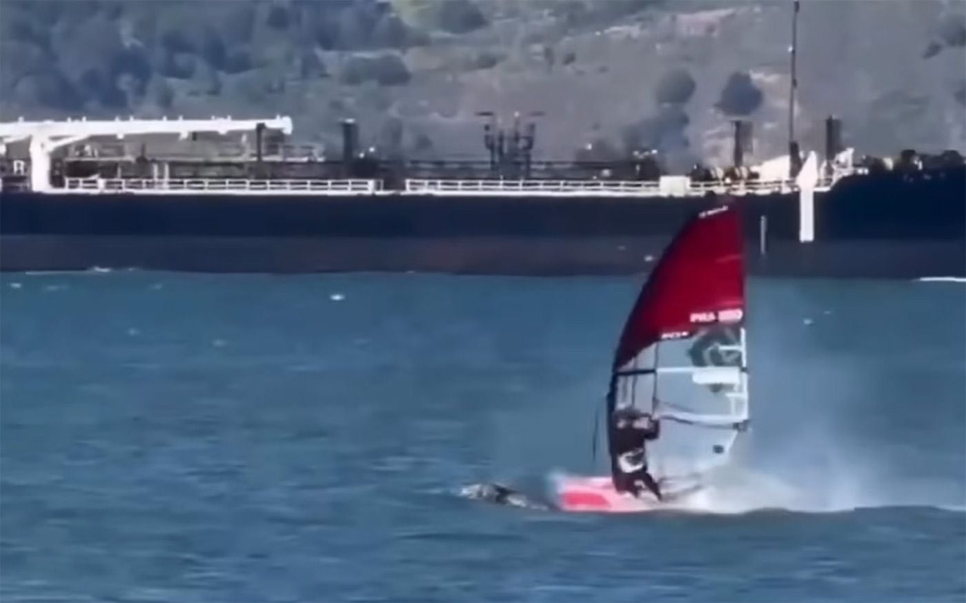Video: Windsurfer Hits Gray Whale, Wipes Out Near Crissy Field