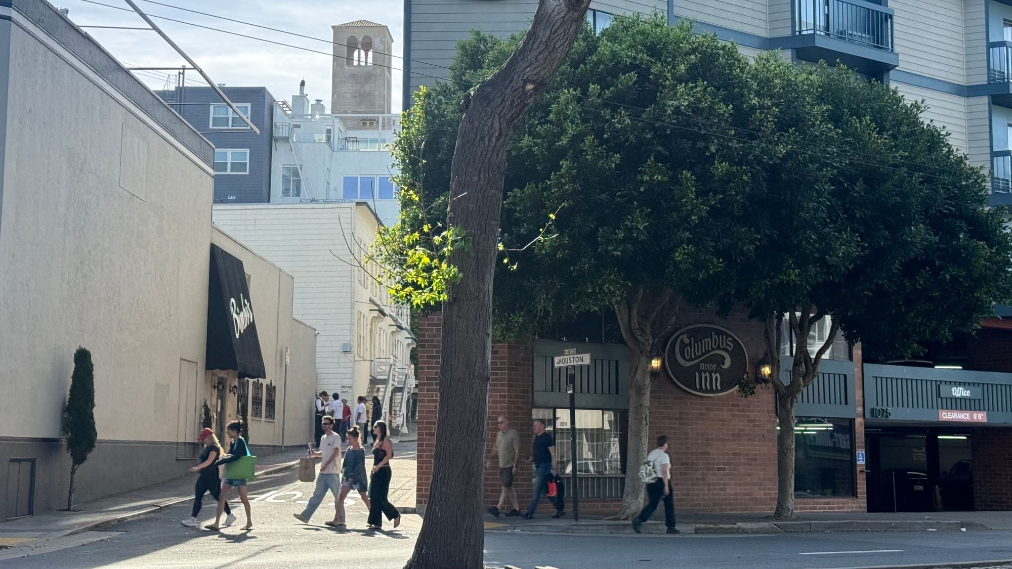 Saturday Links: Therapy Cow Spotted in Sonoma County Visiting Bedridden Resident