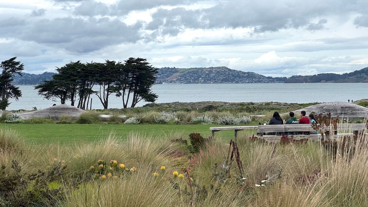 Sunday Links: Trump Signs Order to Fast-Track Psychedelic Research for PTSD, Addiction