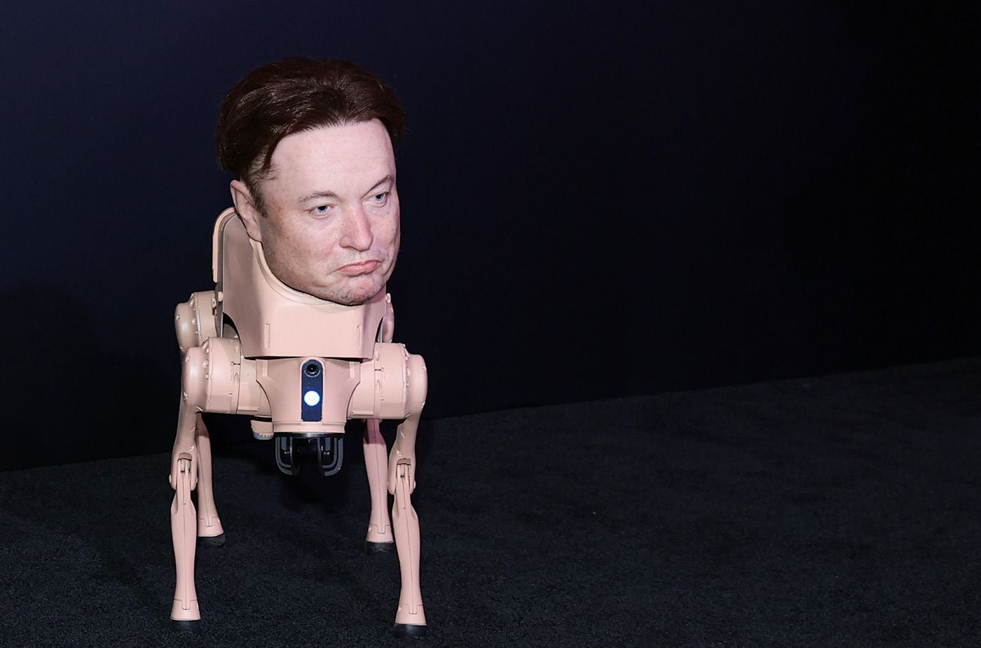 Elon-Headed Robot Dog Spotted In San Francisco