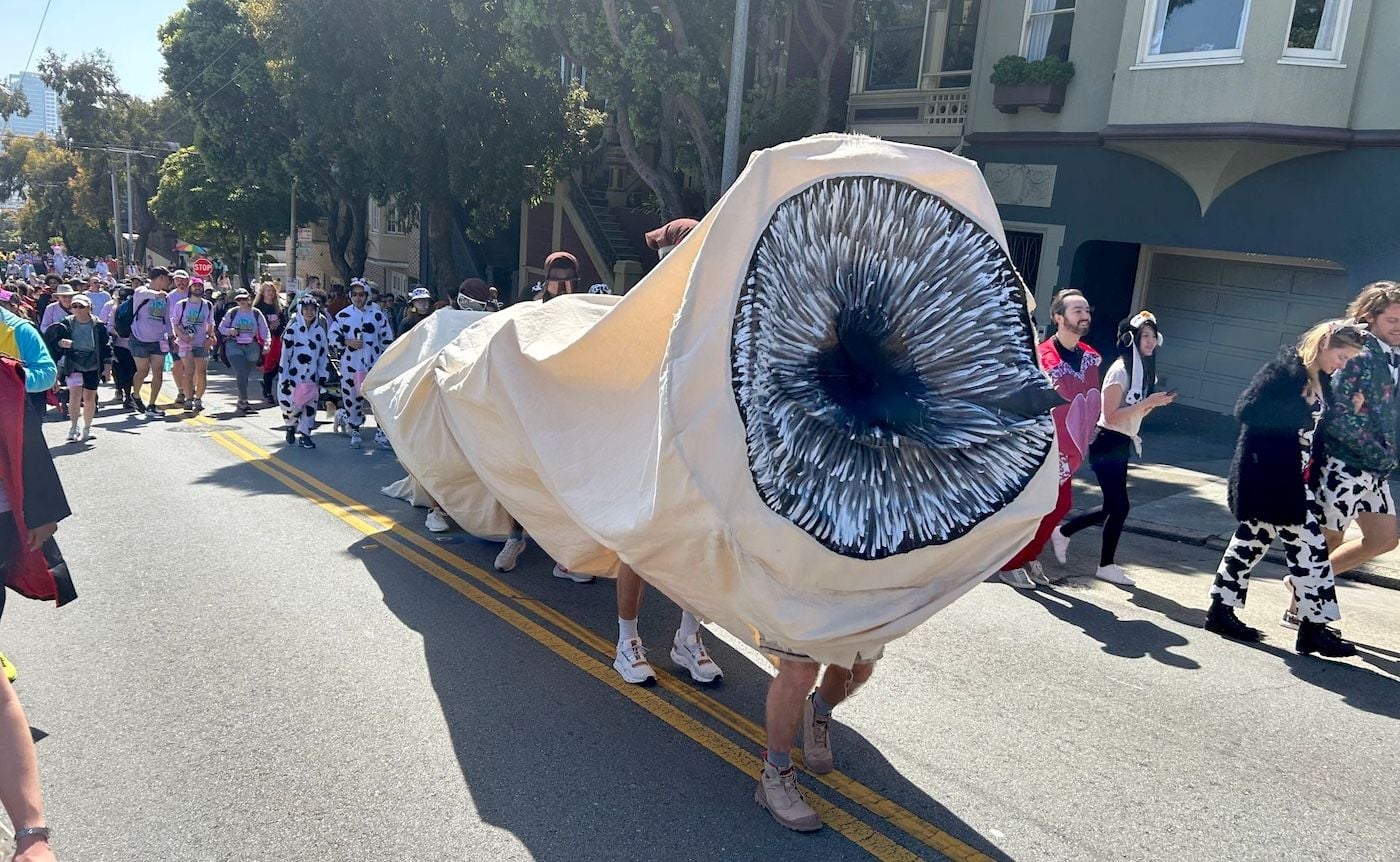 How to Enjoy the 114th Annual Bay to Breakers While Avoiding Traffic