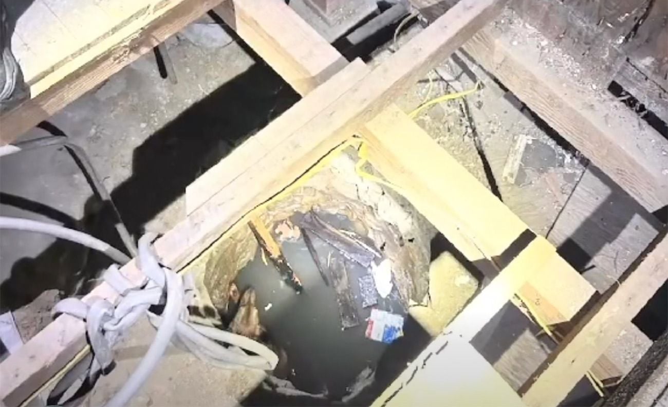Lost Dog Rescued In Vallejo After Ending Up In Well, Treading Water For Hours