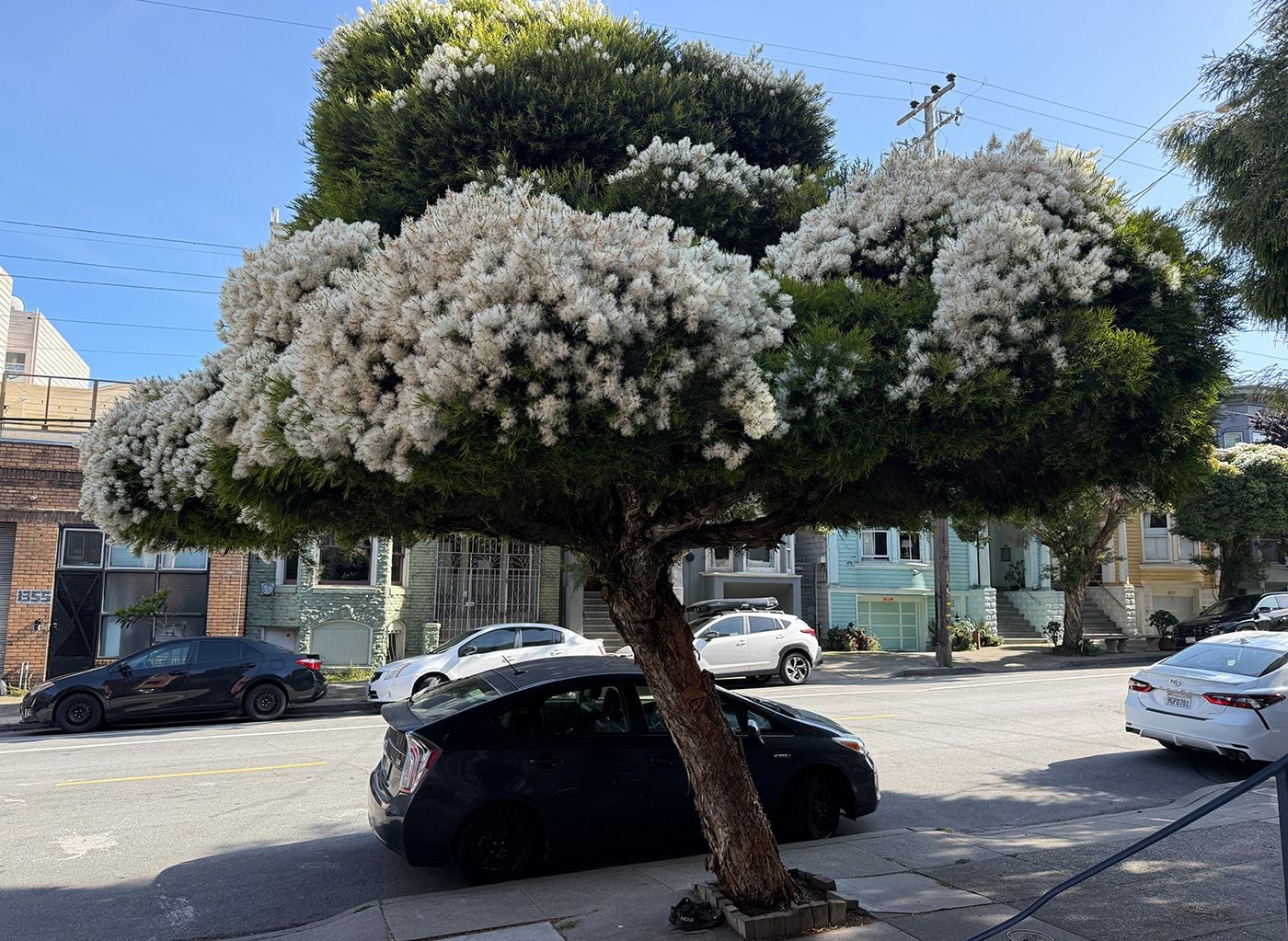 Day Around the Bay: LinkedIn Announces Layoffs