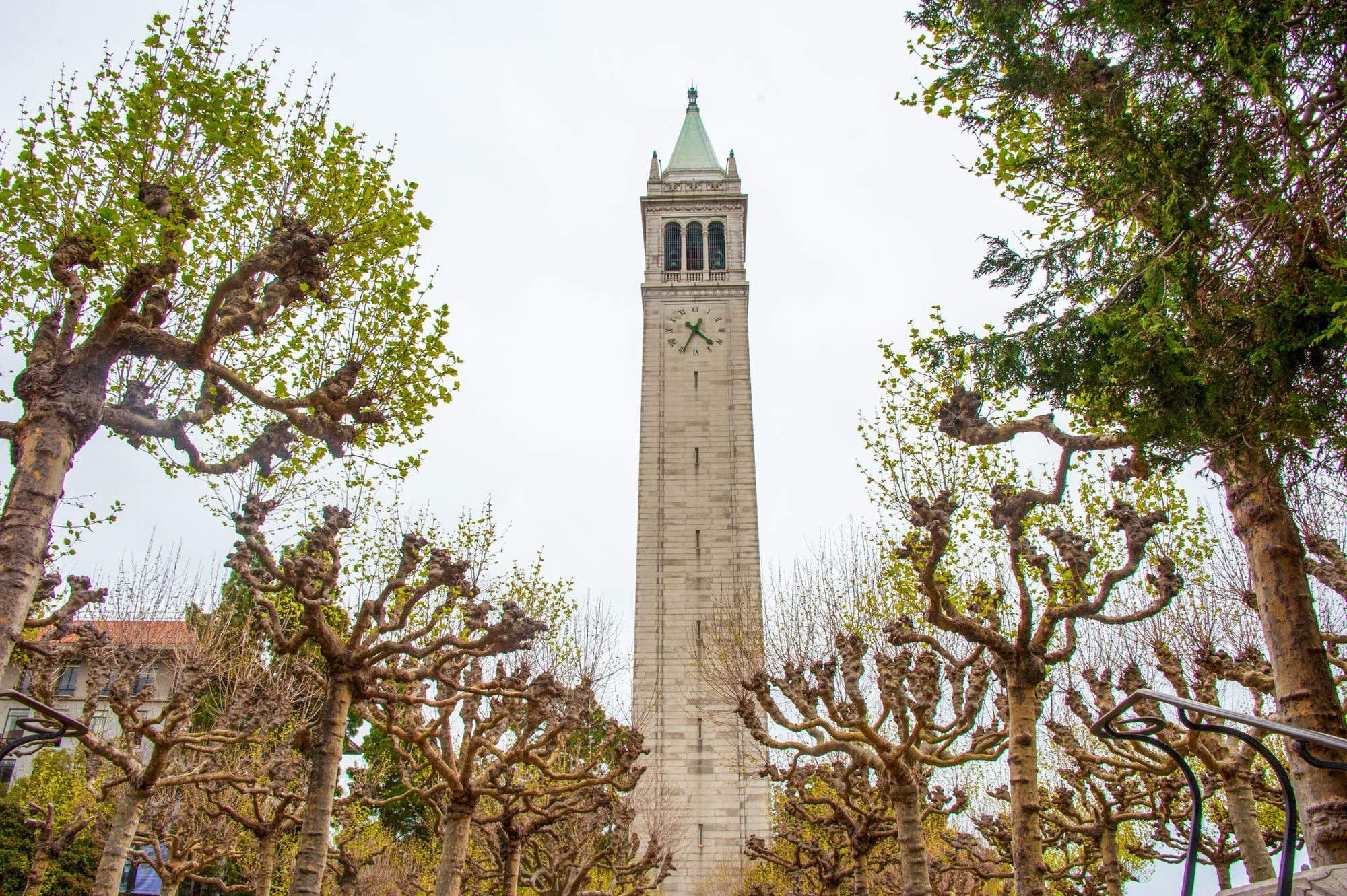 Day Around the Bay: Man Found Dead in Bushes on UC Berkeley Campus