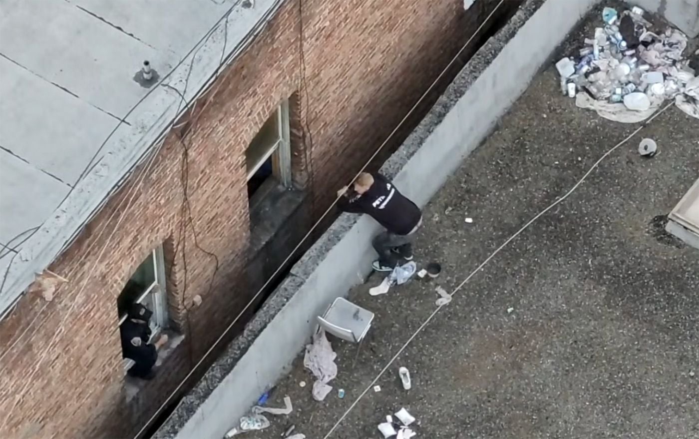 San Francisco Police Arrest Man Suspected of Murdering Kitten In ATM Vestibule