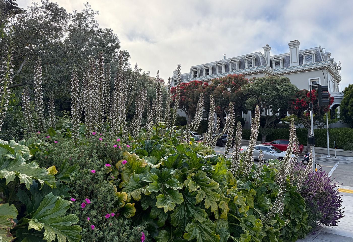 Day Around the Bay: Apple Sues OpenAI Over Trade Secret Theft