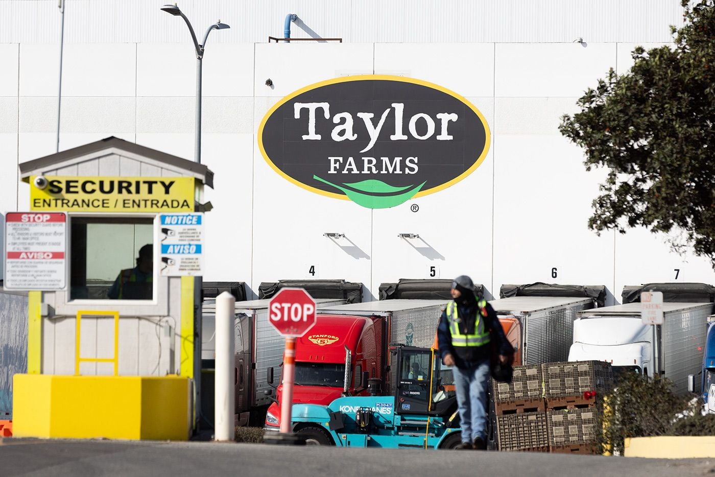 Congressman Launches Inquiry Into Taylor Farms CEO's Donation to Trump Amid Cyclospora Outbreak - SFist
