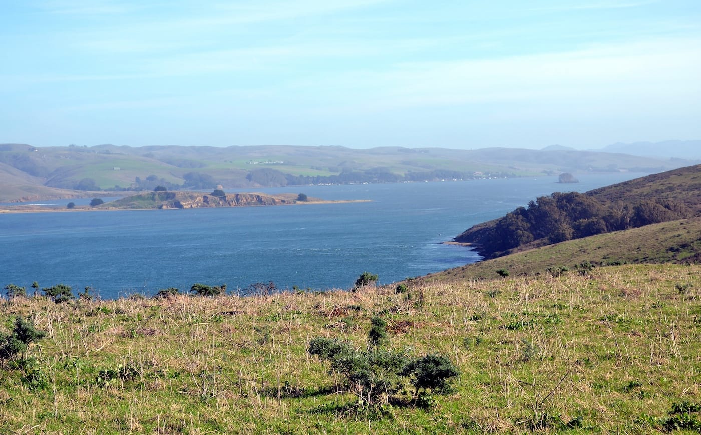 Two Men Found Dead In Tomales Bay After Late-Night Canoe Trip to View Bioluminescence