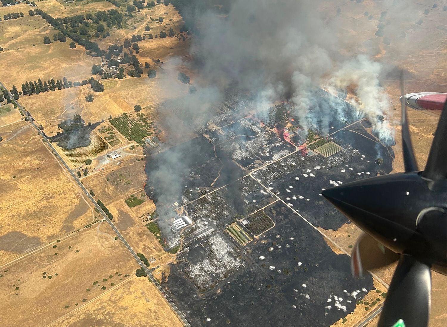 New Wildfire, the Anderson Fire, Burns Over 200 Acres In Mendocino County