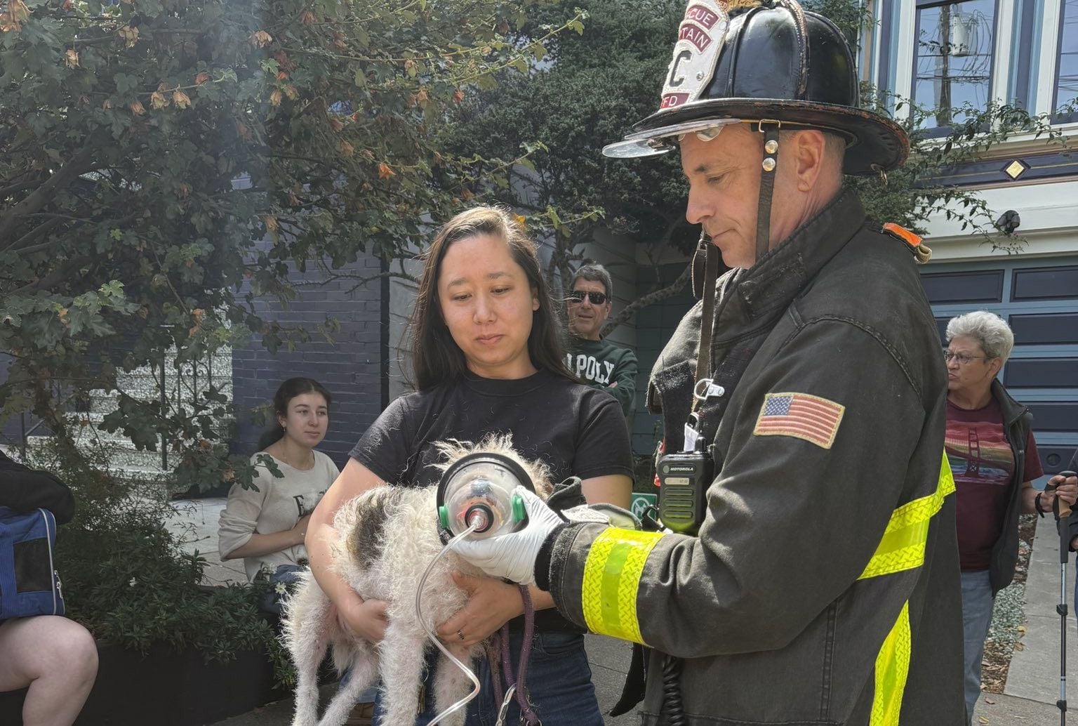Monday Morning Headlines: Fire In Castro Street Garage, Dog Given Oxygen