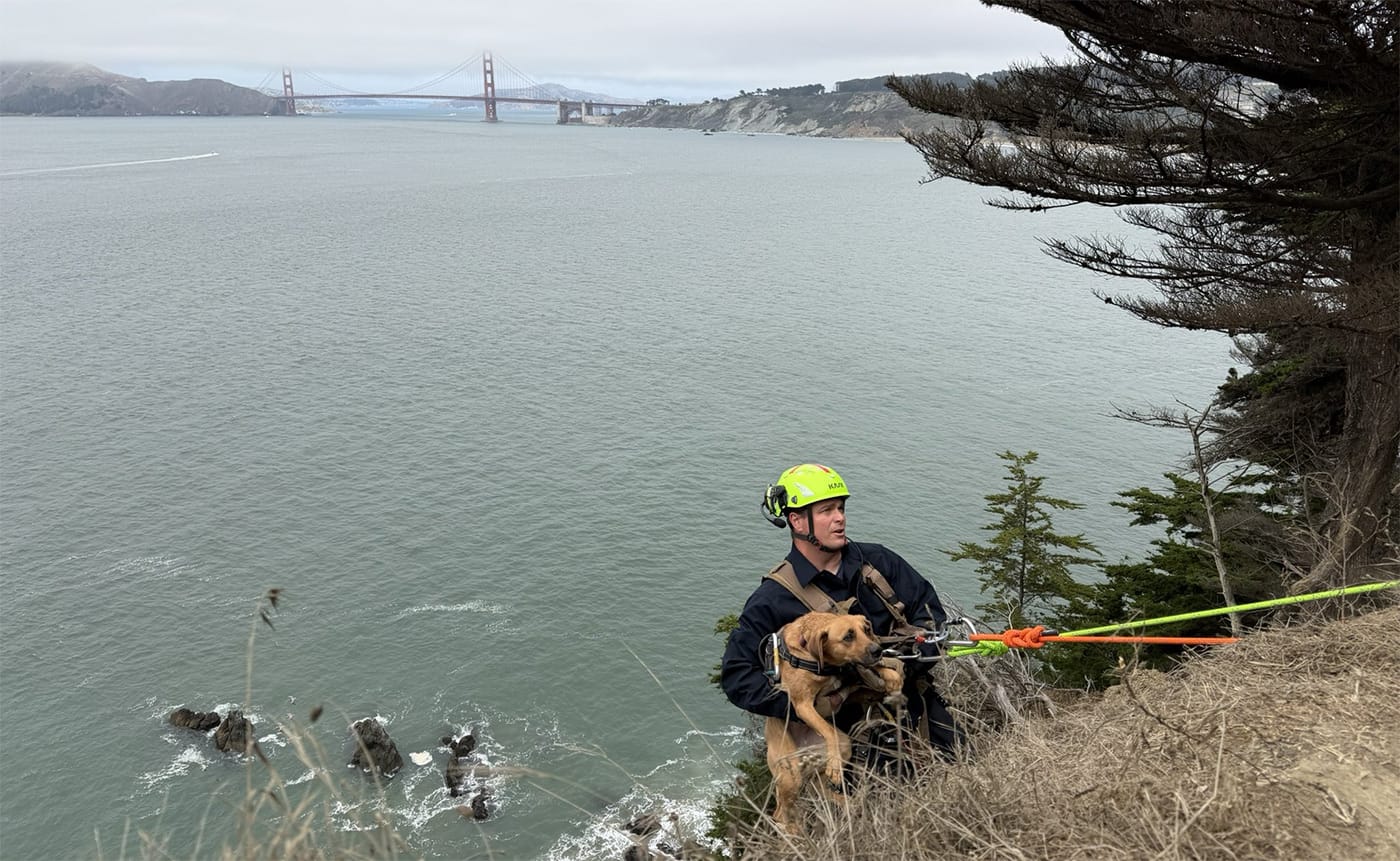 Tuesday Morning Topline: Dog Rescued From Cliff Near Land's End