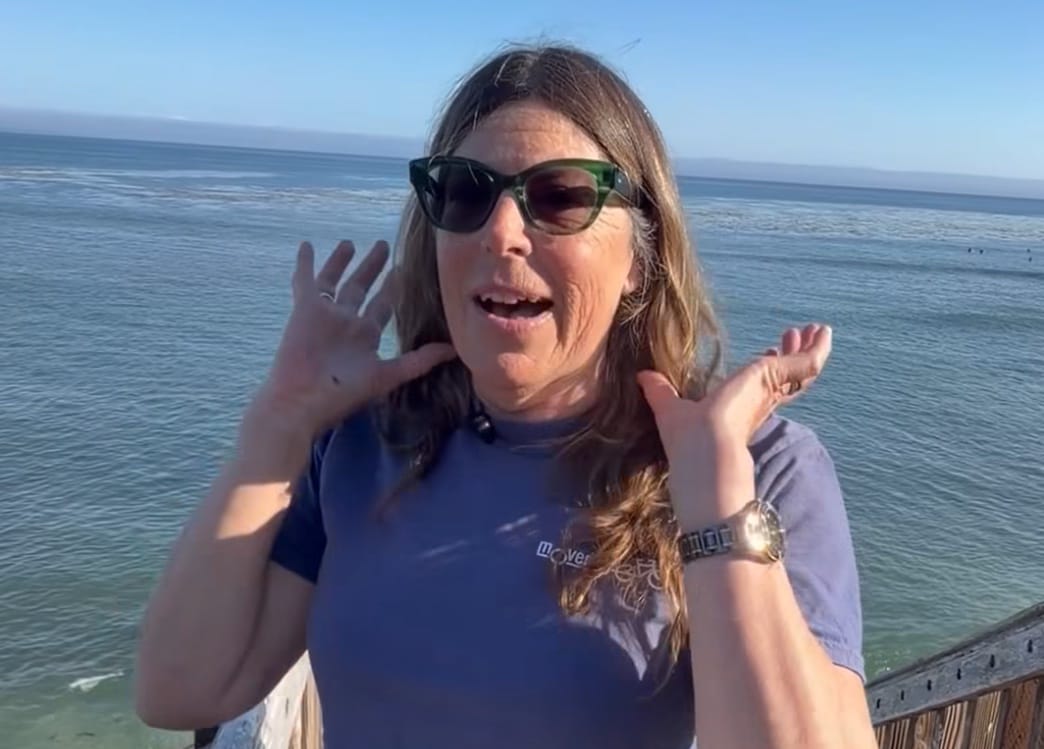 Woman Knocked Off Paddleboard, Bitten By Sea Lion Near Santa Cruz Coast