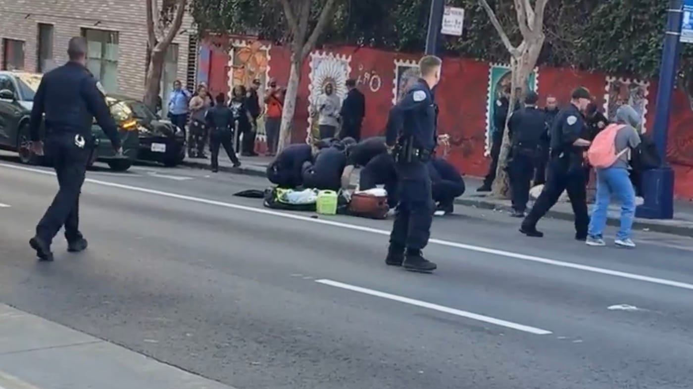 Vicious Dog Attack In SF’s Tenderloin Leaves Woman With Traumatic Injuries