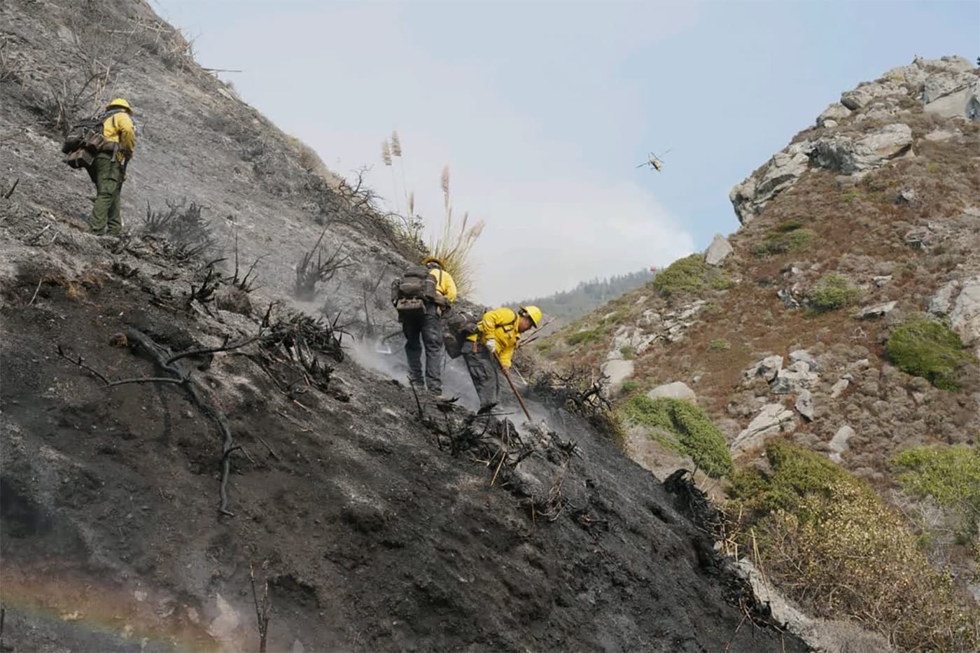 Plaskett Fire Near Big Sur Grows By Another 12,000 Acres, Surpasses Timber Fire