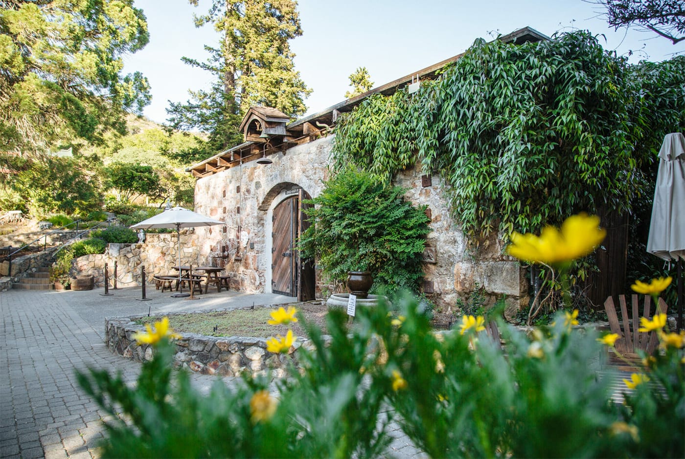 Gundlach Bundschu, One of California's Oldest Wineries, Files for Bankruptcy