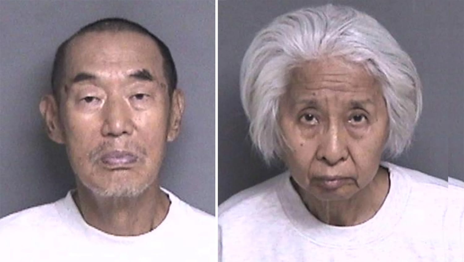 Elderly Couple Charged In Dublin Murder of Son-In-Law, Accused of Lying In Wait