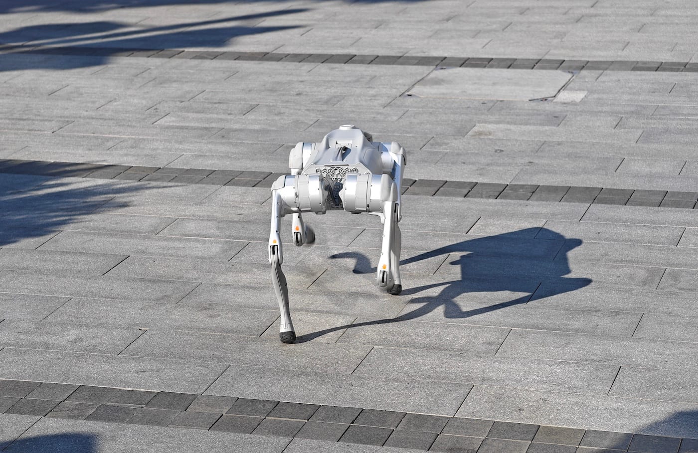 SF Startup Behind ‘Robo-Dog Walkers Wanted’ Ad Gets Visit, Threatening Messages From Angry Resident