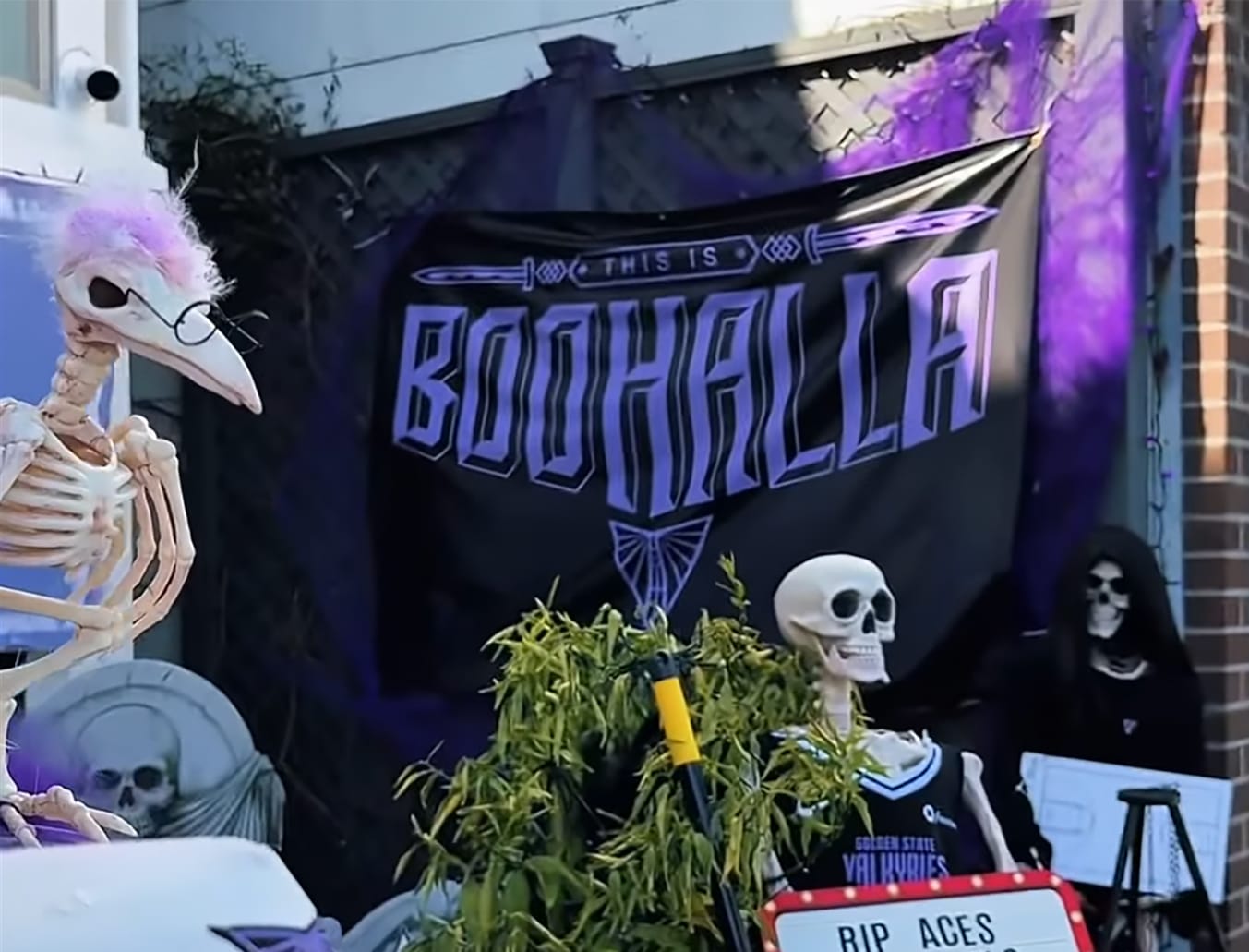 Day Around the Bay: Fans Flock to 'Boohalla'