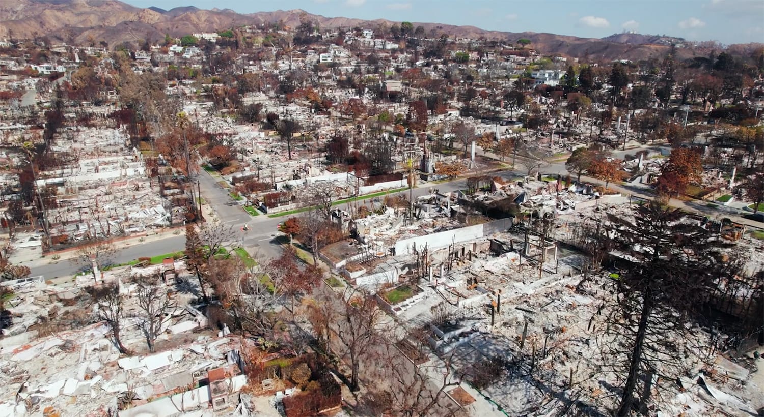 New Report on LA Wildfires Recommends Rethinking How Urban Wildfires Are Fought