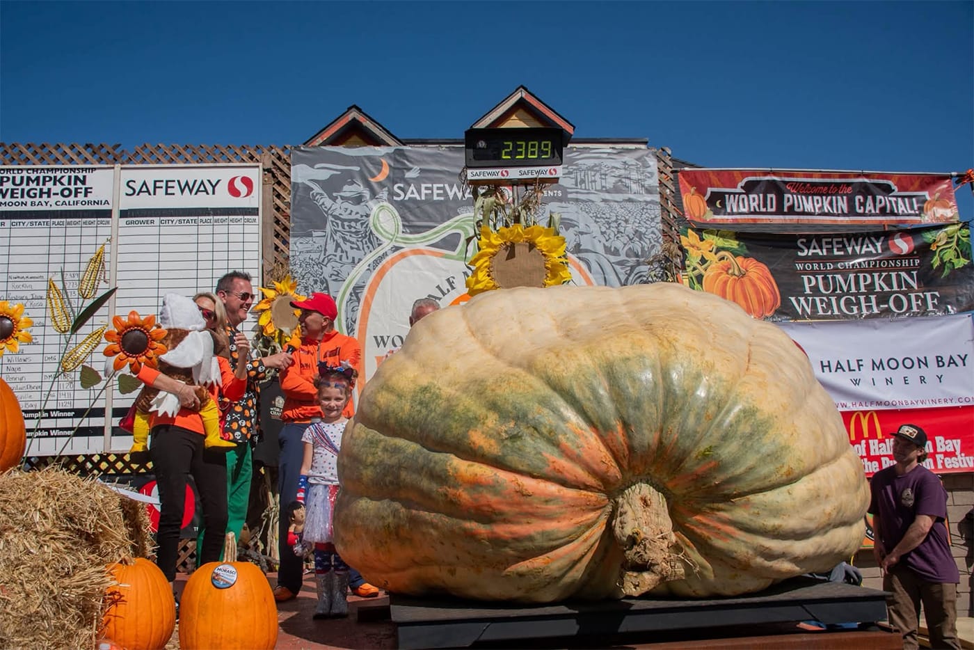 Day Around the Bay: Minnesota Farmer Wins Pumpkin Weigh-Off For Fifth Time
